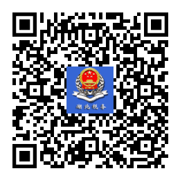 湖北网上税务局官网_湖北税务局网上办税厅_湖北税务网上税务局